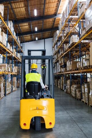 Disposable Gloves Bulk | NZ Glove Solutions